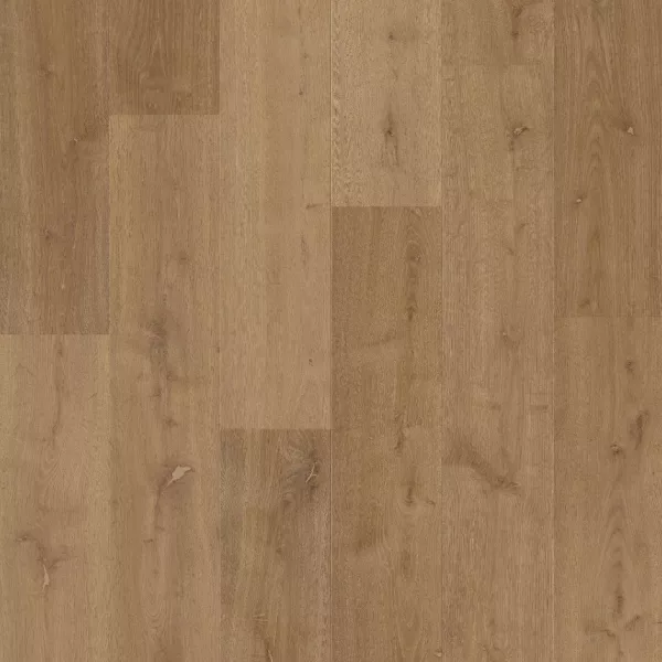 Bloom de Quick Step