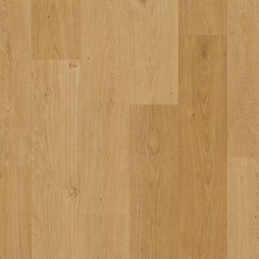 Blos de Quick Step