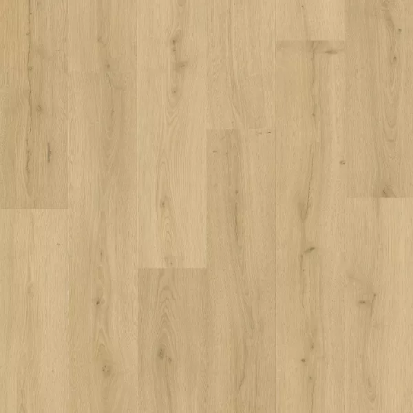 Bloom de Quick Step