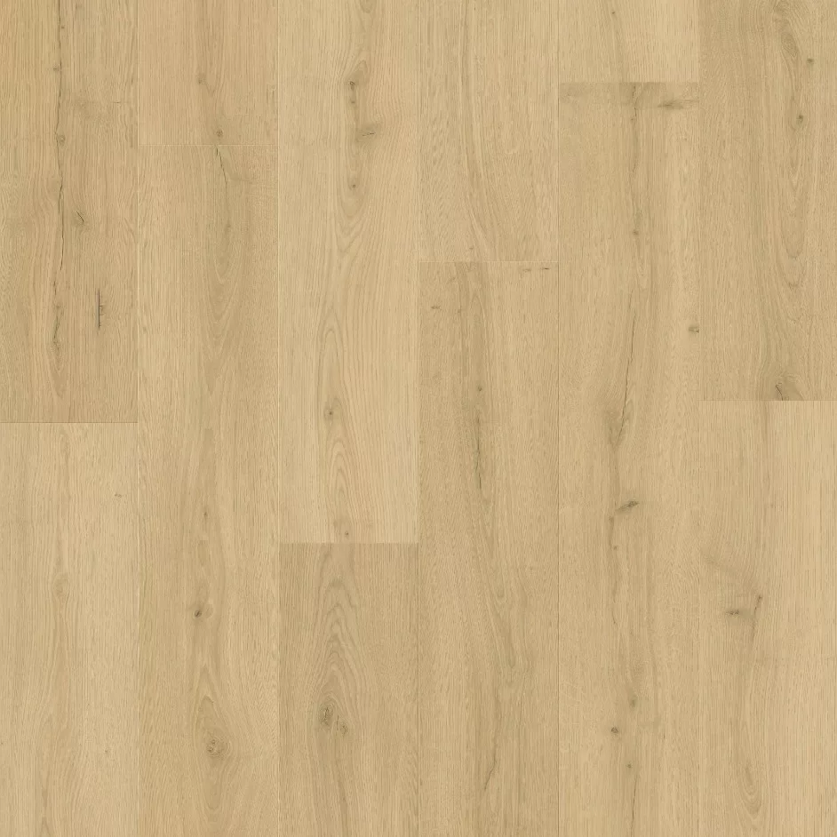 Bloom de Quick Step