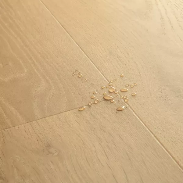 Bloom de Quick Step