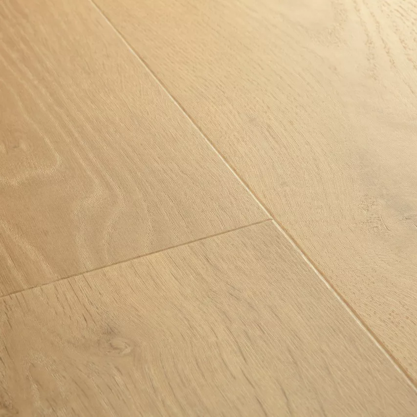 Bloom de Quick Step