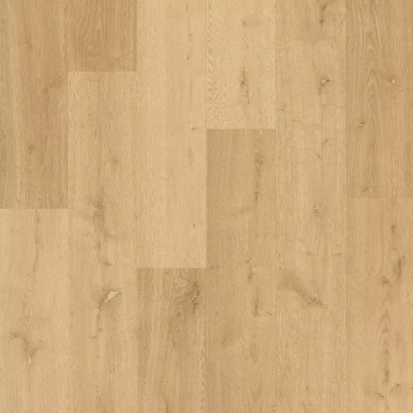 Bloom de Quick Step