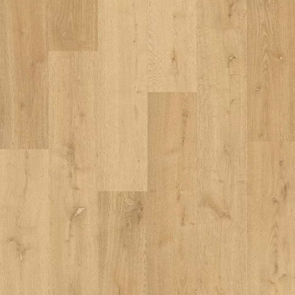 Bloom de Quick Step