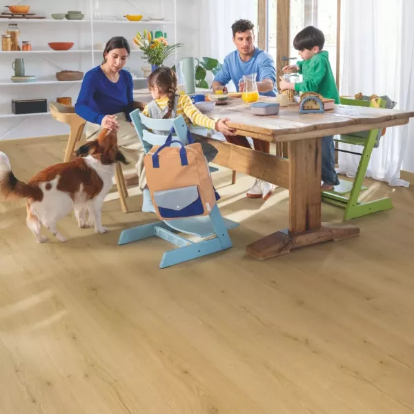 Bloom de Quick Step