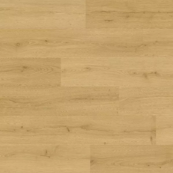 Bloom de Quick Step