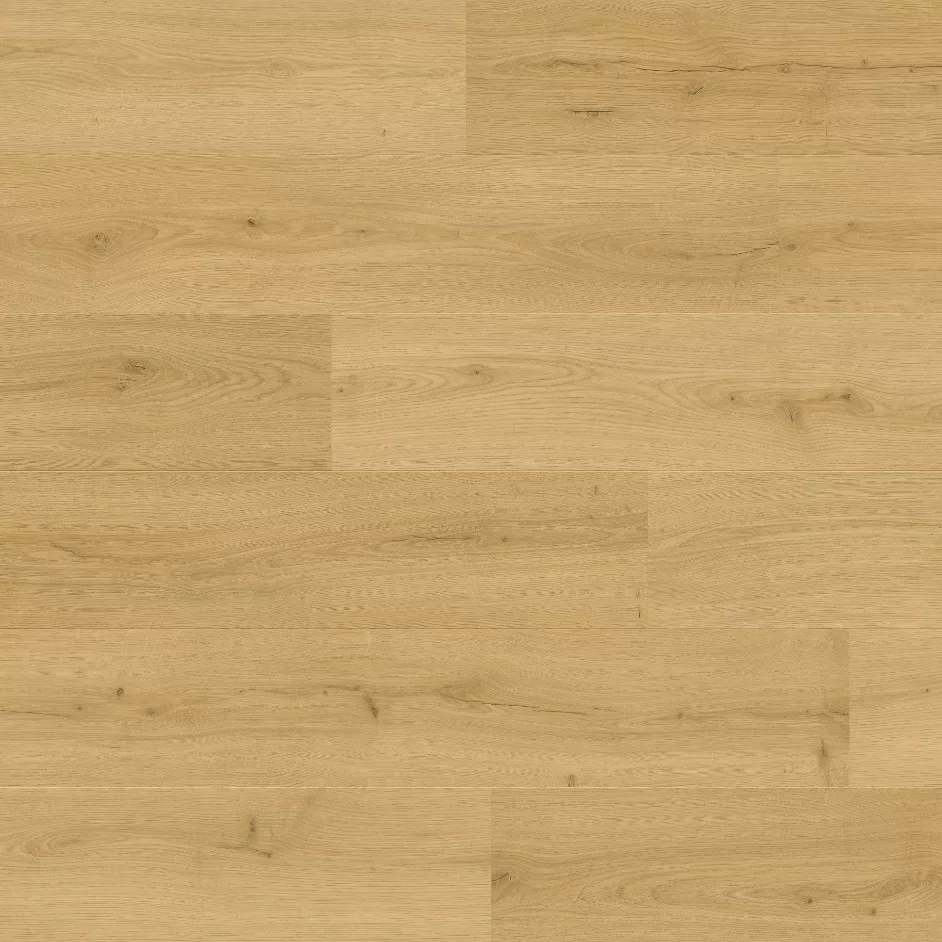 Bloom de Quick Step